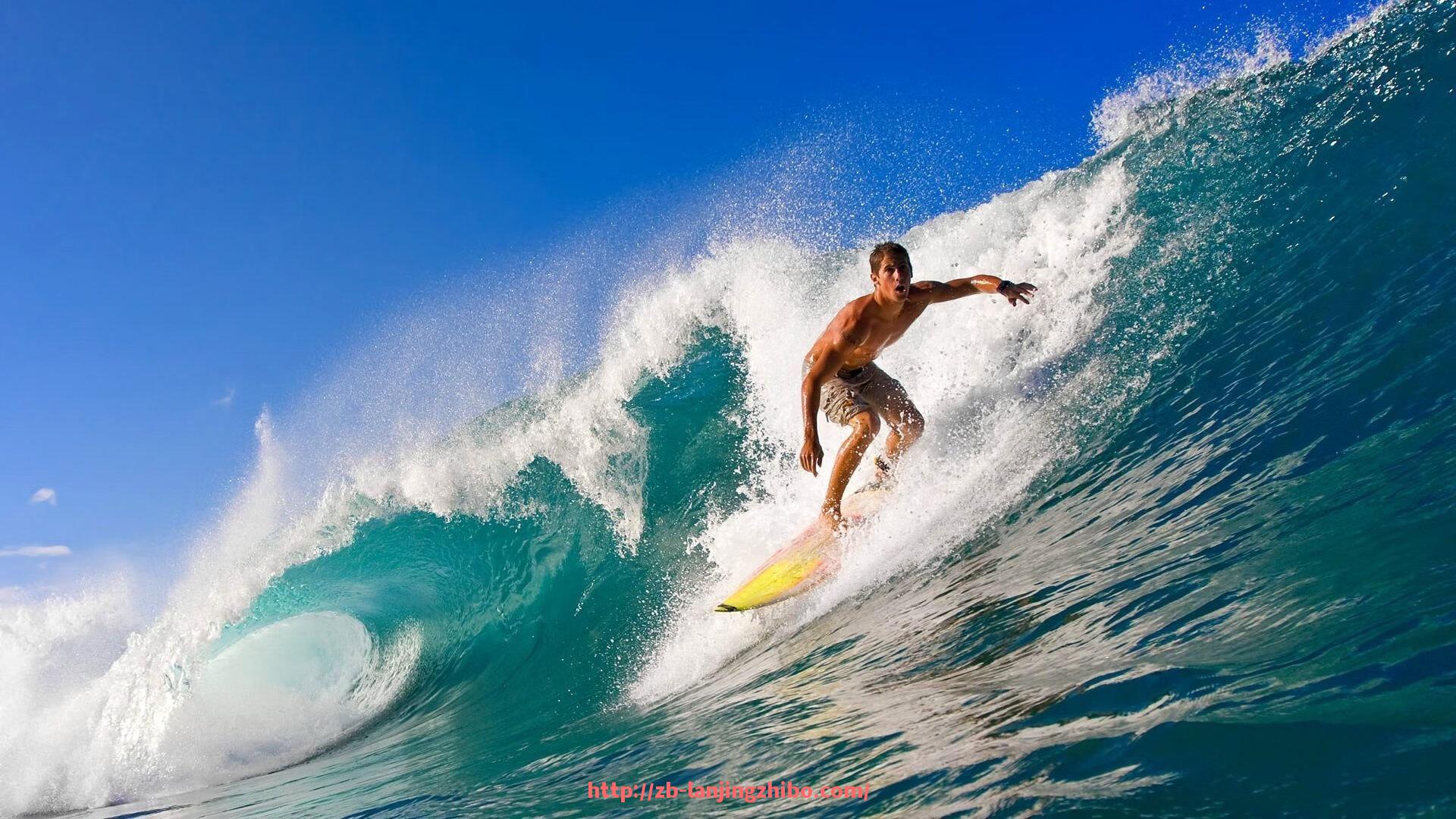 蓝鲸体育直播-女生最适合使用的健身器材推荐及其运动健身效果分析